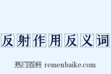 反射作用反义词是什么意思的图片